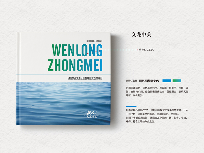文龙中美