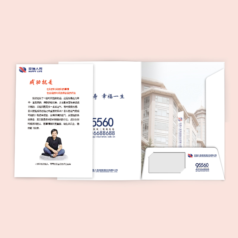 企业封套设计